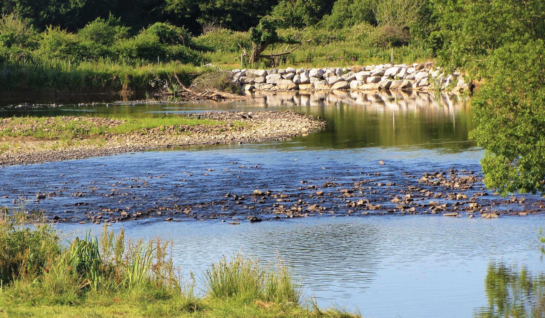 The River Feale